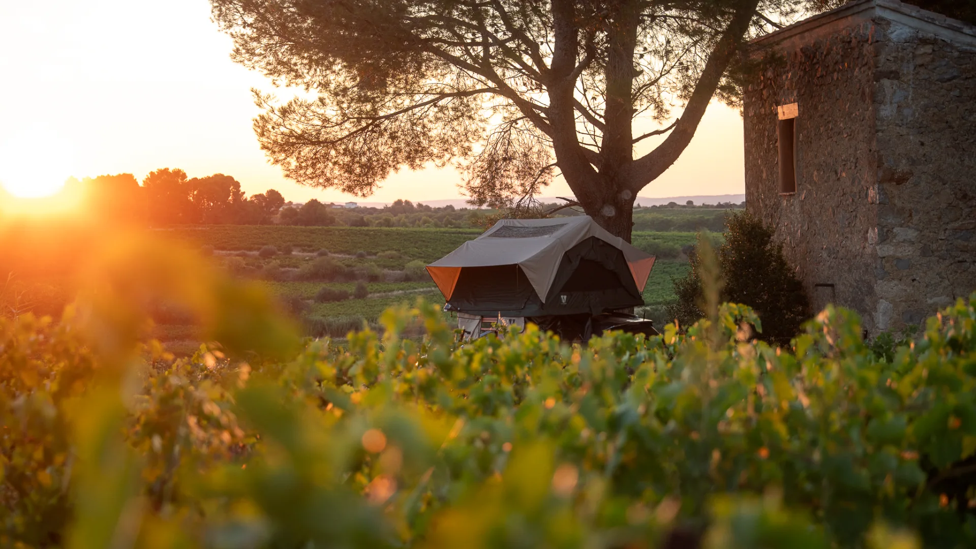 Voyage oenologique dans le Languedoc 
