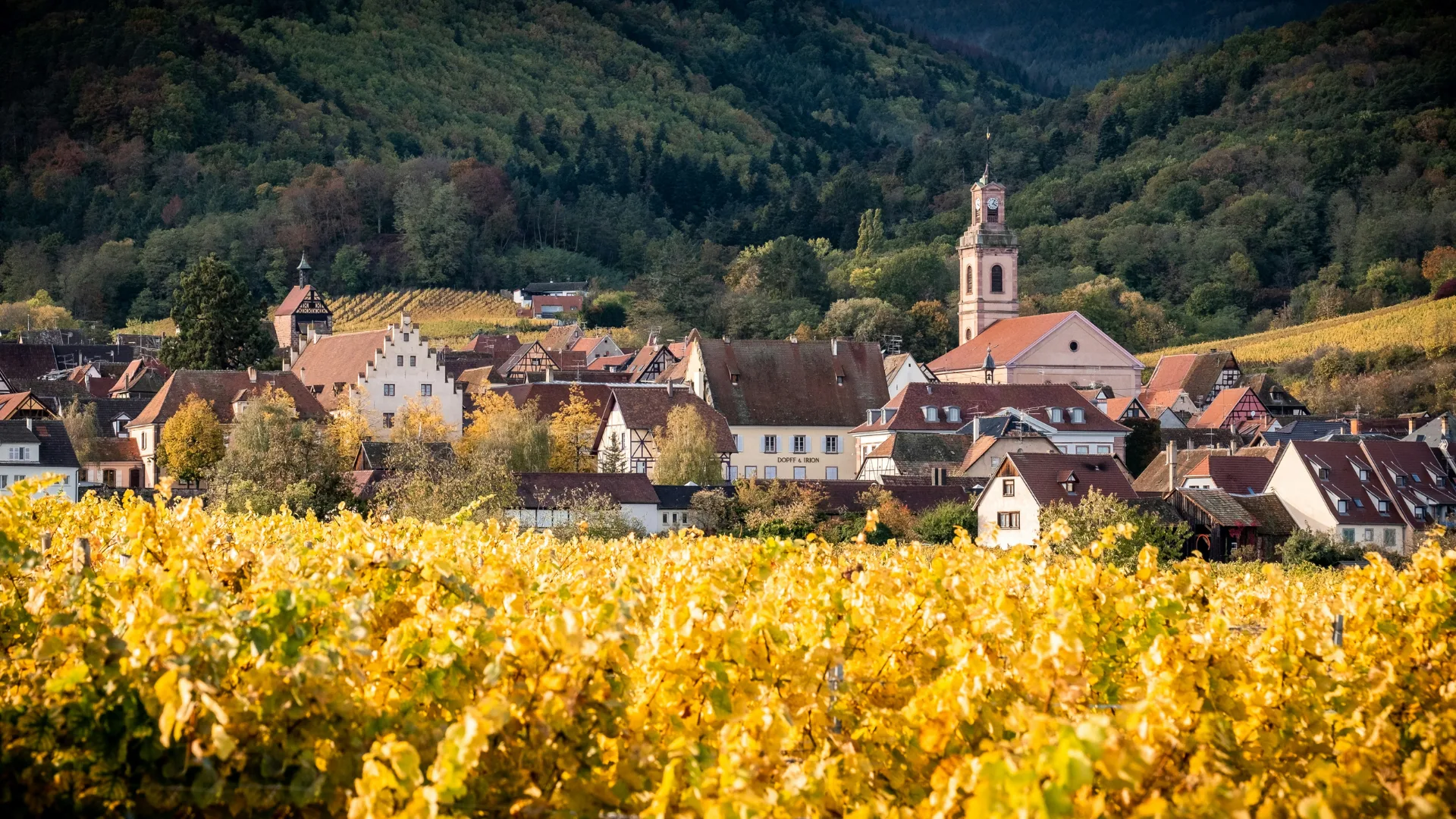 Road Trip de 4 jours en Bourgogne