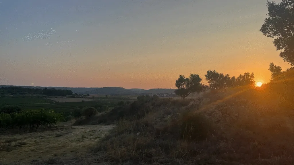 Please : Spot en Occitanie