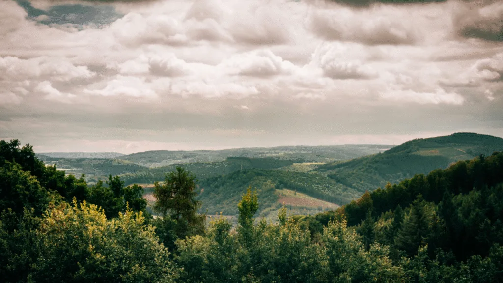 Road Trip de 5 jours en Belgique
